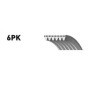 Galets de Distribution SNR pour Peugeot 207 et 308