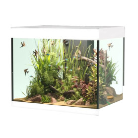 Aquarium Opera 110 Blanc avec Filtre et Éclairage LED