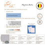 Kit de Broderie Point de Croix Dahlia Rose - Lot de 3 Cartes de Voeux