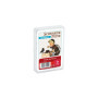 Jeu de Cartes Black Peter pour Enfants - ASS