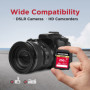 Carte Mémoire SDXC Gigastone 256Go V30 Haute Vitesse pour Appareils Photo