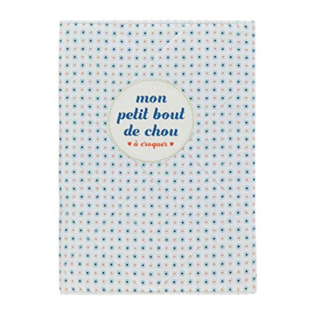 Protège Carnet de Santé Baby Bout de Chou Garçon - DLP