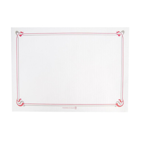 Sets de Table Maxim Bordeaux et Gris en Cellulose - 500 Unités