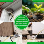 Plumeau MUSLONG en Terre de Diatomée - Pulvérisateur Pratique pour Intérieur et Extérieur