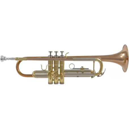 Trompette Si♭ Vernie Woodbrass WTP400 - Prête à Jouer avec Étui et Embouchure