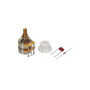 Fender Kit de Potentiomètre de Contrôle de Ton 250K / 1Meg pour Guitare Électrique