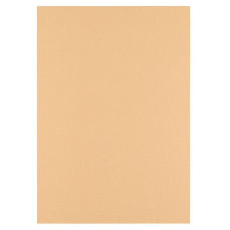 Papier Cartonné en Lin A4 Beige - 100 Feuilles Parchment pour Loisirs Créatifs