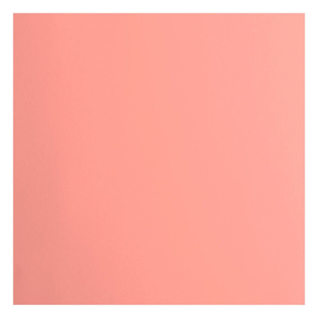 Papier Cartonné Rose Florence - 30,5 x 30,5 cm - 20 Feuilles pour Scrapbooking