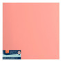 Papier Cartonné Rose Florence - 30,5 x 30,5 cm - 20 Feuilles pour Scrapbooking