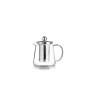 Théière en Verre Borosilicate avec Filtre - 450 ml