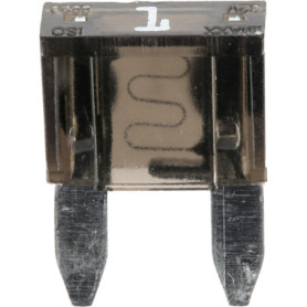 Fusibles Mini Restagraf - Protection Électrique 1A 32V - Sachet de 10