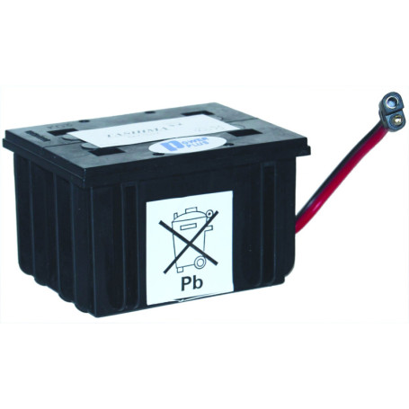 Batterie TASHIMA 12V 2,5A pour Motoculture - Compatible BRIGGS & STRATTON