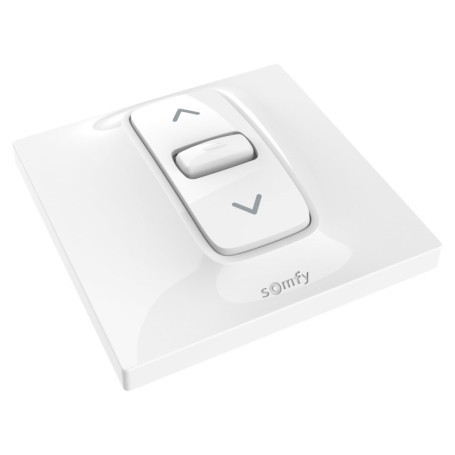 Interrupteur Filaire Somfy Inis pour Volet Roulant et Store - Commande Simple et Efficace