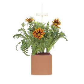 Nano Jardin d'Intérieur Prêt à Pousser en Terracotta