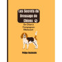 Guide Complet de Dressage pour Chiens : Éduquez Votre Compagnon avec Efficacité