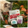 Pâtée Premium Venandi pour Chats au Poulet - Lot de 12 x 125g