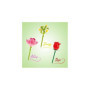Pack de 3 Stylos Fleur à Construire - Rose, Lotus et Marguerite