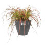 Pot de Fleurs Rond Vibia Campana - Ø 55 cm - 100% Recyclé - Noir
