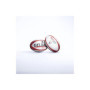 Ballon de Rugby Replica Biarritz Taille 5 - GILBERT