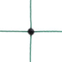 Filet de Protection Vert pour Poules - 25 m avec Double Pointe