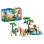 Journée féerique avec les fées - Pack Playmobil