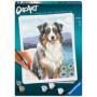 Ravensburger CreArt - Peinture par numéros Berger Australien 24x30 cm