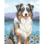 Ravensburger CreArt - Peinture par numéros Berger Australien 24x30 cm