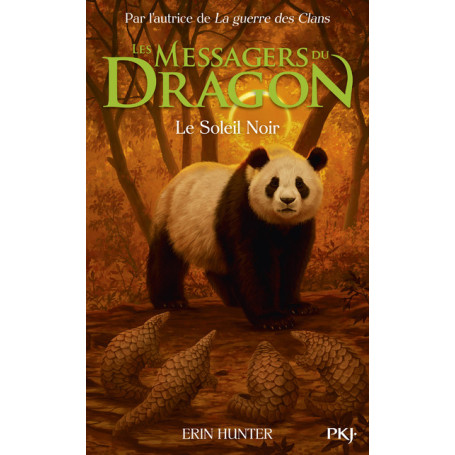 Les Messagers du Dragon, Cycle 1 - Tome 4 Le Soleil Noir