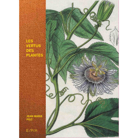 Les vertus des plantes