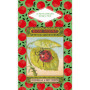 Petit Livre des insectes et papillons