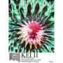 KEI 2