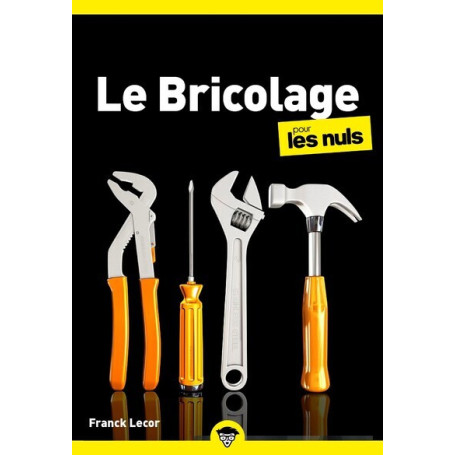 Le bricolage pour les Nuls, poche, 4e éd
