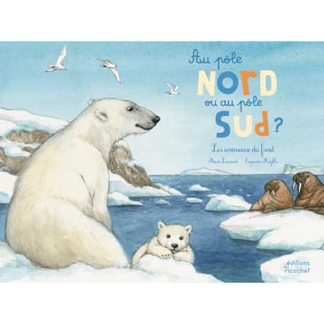 Au pôle nord ou au pôle sud ?