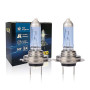 XELORD H7 55W 12V Ampoules Pour Phares De Voiture,Feux De Route/Croisement de Remplacement,Certification E-Mark (2 pièces)