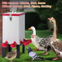 Abreuvoir Automatique pour Poules, 11 L, en Acier Inoxydable, avec Valve Flottante, Bol d'eau, Support de Sol et Tuyau, pour Cai