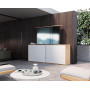 Mywall Lift TV motorisé HP63-2L pour Montage dans Les Meubles, élévateur TV électrique avec Commande Smart Home Via l'applicatio