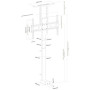 Mywall Lift TV motorisé HP63-2L pour Montage dans Les Meubles, élévateur TV électrique avec Commande Smart Home Via l'applicatio