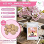 Graines de Cerisier du Japon (Prunus serrulata) 10 Pcs - Sakura Rose Arbre d'ornement rustique – Rêve floral pour jardin et Bons