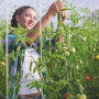 YeahBoom Crochet de Support de Tomate,50 Pièces Crochet de Tomates de Jardint avec 10m de Corde et 100 Pièces Clips de Support,C