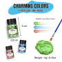 Roizefar Poudre de Mica - Pigment Résine époxy 32 Couleurs, Colorant de Savon, Colorant en Poudre Métallique pour La Fabrication