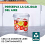 GROWMANIA Lot de 20 seaux en plastique transparent avec poignée 1 l – Boîte de rangement hermétique pour aliments, liquides et p