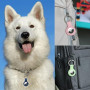 Alsukeay Lot de 4 étuis de Protection en Silicone pour AirTag avec Porte-clés - Compatible avec AirTag Tracker Portefeuille, Sac
