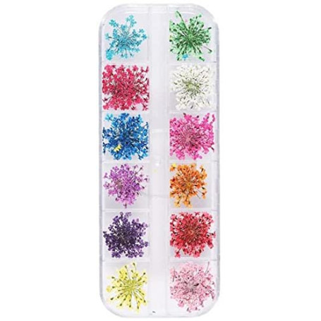 Générique Fleur séchée Nail Art Décoration Set 24pcs Vraie Gypsophile Fleur Séchée pour Nail Art Conservé Fleur Manucure Ongles 