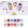 Générique Fleur séchée Nail Art Décoration Set 24pcs Vraie Gypsophile Fleur Séchée pour Nail Art Conservé Fleur Manucure Ongles 