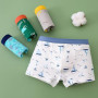 HAGOT 12 Caleçons Coton pour Garçons, sous-Vêtements Doux et Respirants Garcon, Calecon Enfant Culotte Variété