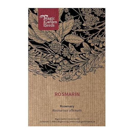 Romarin (Rosmarinus officinalis) env. 50 semences