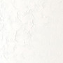 Winsor & Newton Winton Huile 37ml 644 Blanc de Titane