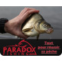 Paradox Fishing lot Plomb Peche 5g à150g I 10g 15g 20g 25g 30g 40g 50g 60g 80g 100g 120g 150g I sinkers Carpe Plomb