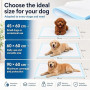 Edipets, Alaise pour Chien, Alese Jetable, 45x60, Tapis pour Chiot, Apprentissage de la Propreté, Anti-Fuite et Résistante (40 P