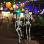 SIFOEL Squelette d'halloween - 165 cm - Taille réaliste - Squelette Humain - avec articulations Mobiles - Décoration de Maison h